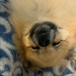 Meet your Posher, Joanne